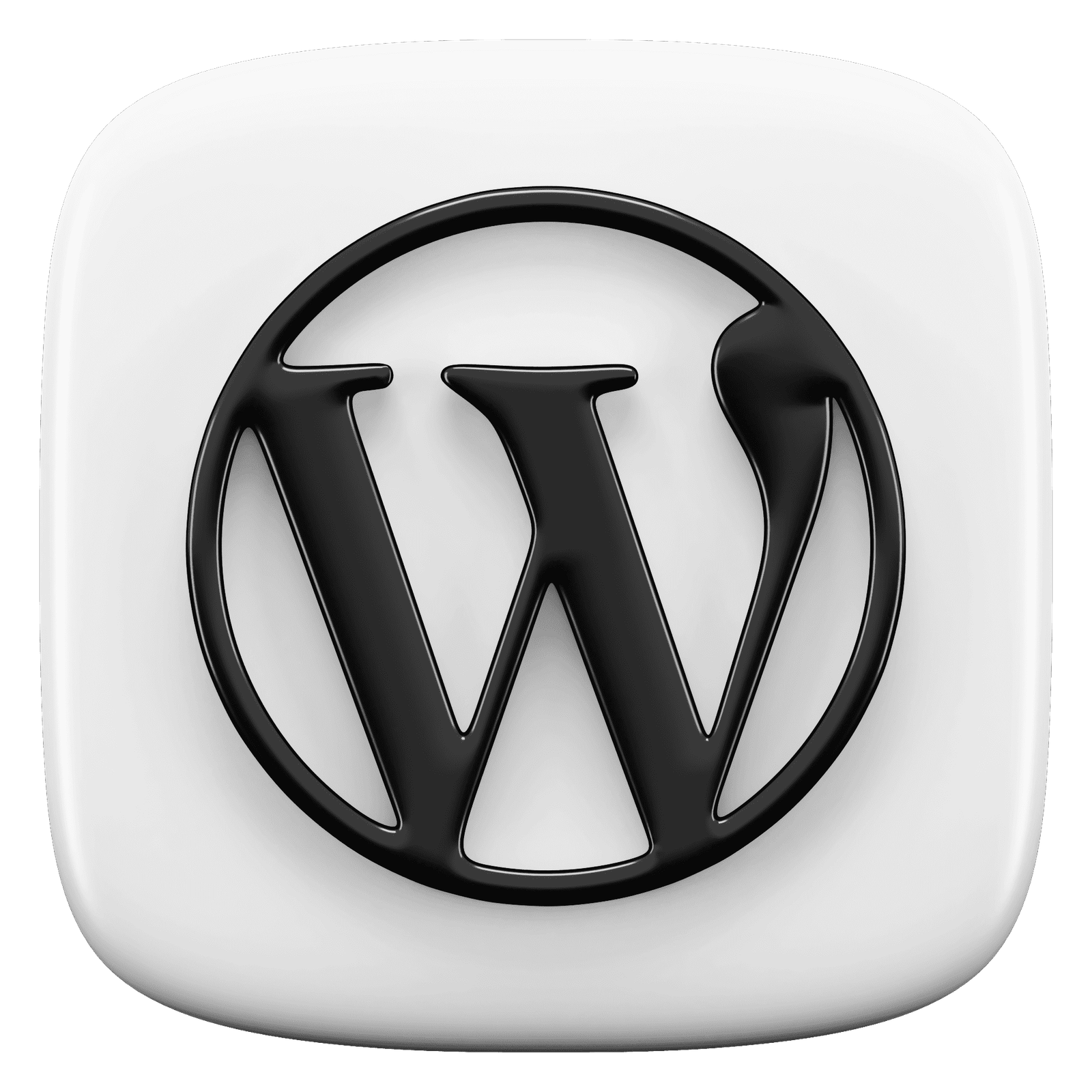 wordpress